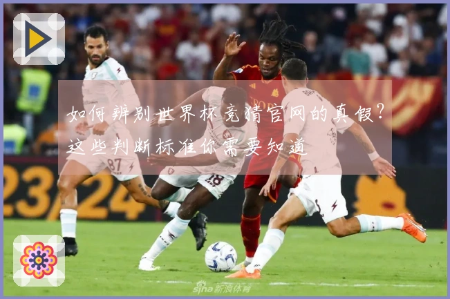 如何辨别世界杯竞猜官网的真假？这些判断标准你需要知道
