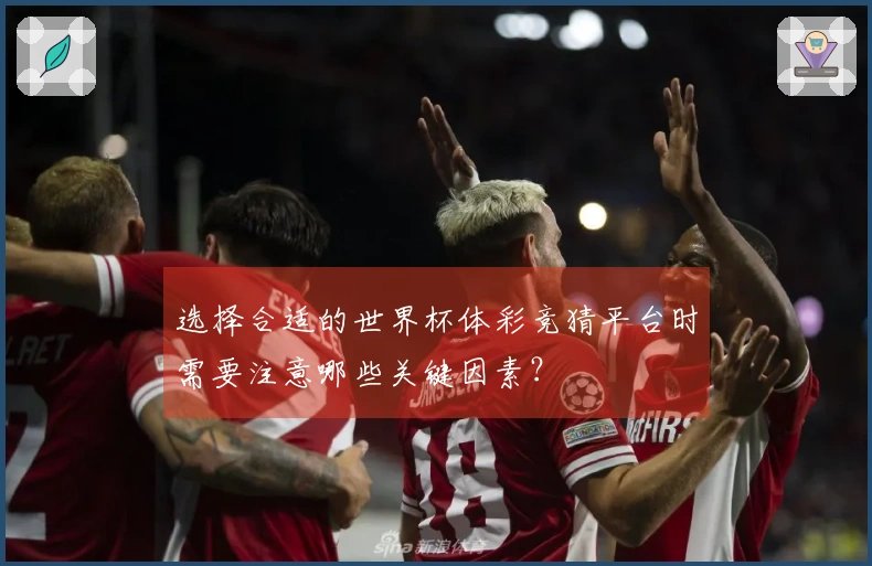 选择合适的世界杯体彩竞猜平台时需要注意哪些关键因素？
