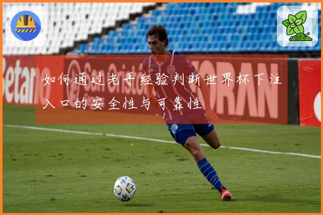 如何通过老手经验判断世界杯下注入口的安全性与可靠性
