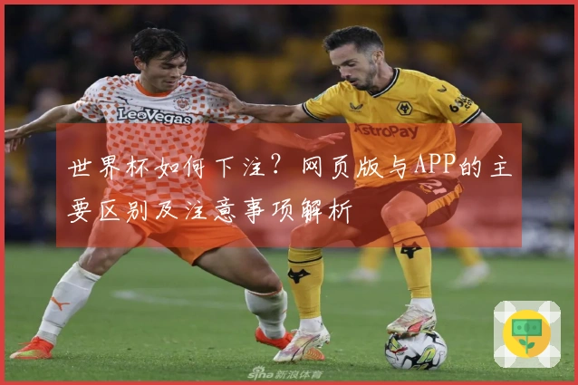 世界杯如何下注？网页版与APP的主要区别及注意事项解析