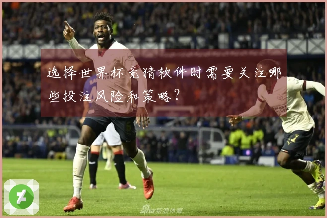 选择世界杯竞猜软件时需要关注哪些投注风险和策略？