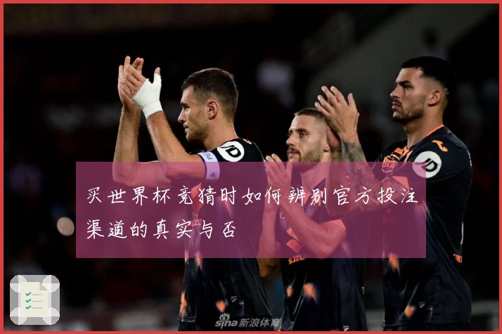 买世界杯竞猜时如何辨别官方投注渠道的真实与否