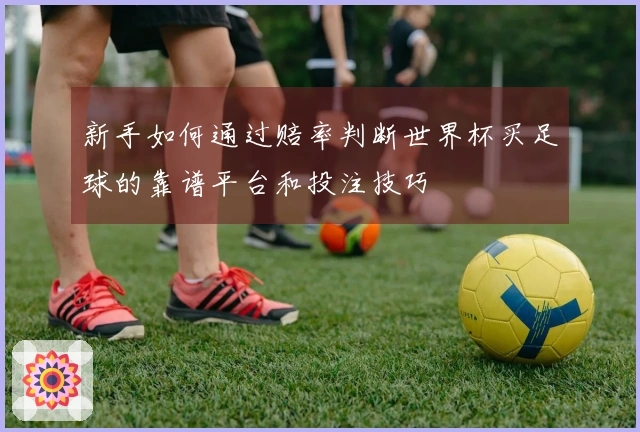 新手如何通过赔率判断世界杯买足球的靠谱平台和投注技巧