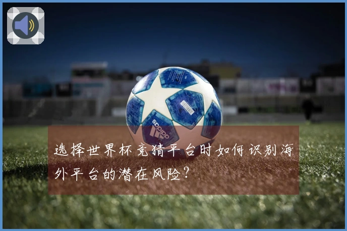 选择世界杯竞猜平台时如何识别海外平台的潜在风险？