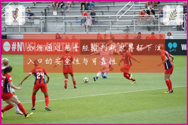 如何通过老手经验判断世界杯下注入口的安全性与可靠性
