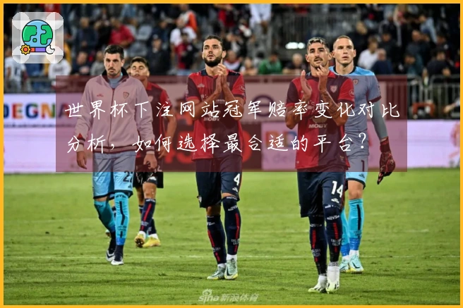 世界杯下注网站冠军赔率变化对比分析，如何选择最合适的平台？
