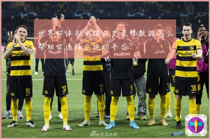 世界杯体彩竞猜历史交锋数据怎么帮助你选择合适的平台?