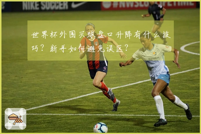 世界杯外围买球盘口升降有什么技巧?新手如何避免误区?