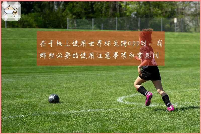 在手机上使用世界杯竞猜app时，有哪些必要的使用注意事项和常见问题？
