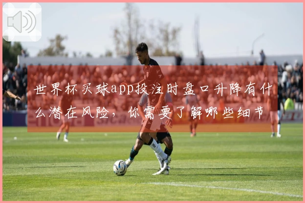 世界杯买球app投注时盘口升降有什么潜在风险，你需要了解哪些细节？