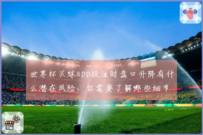 世界杯买球app投注时盘口升降有什么潜在风险，你需要了解哪些细节？