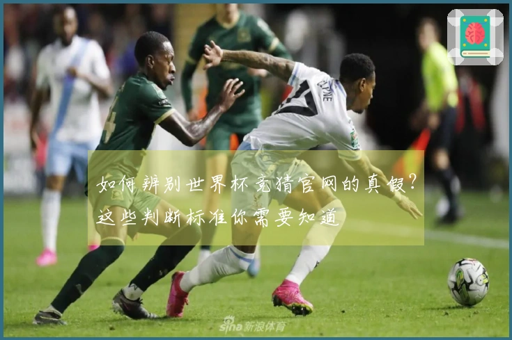 如何辨别世界杯竞猜官网的真假？这些判断标准你需要知道