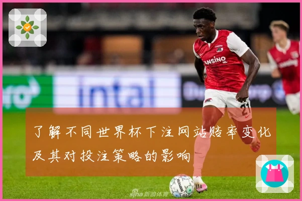 了解不同世界杯下注网站赔率变化及其对投注策略的影响