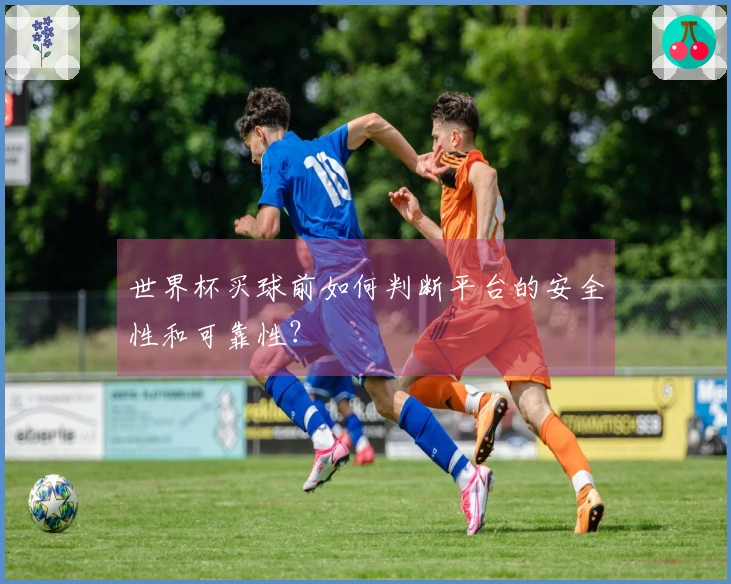 世界杯买球前如何判断平台的安全性和可靠性？