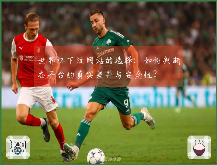 世界杯下注网站的选择：如何判断各平台的真实差异与安全性？