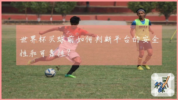 世界杯买球前如何判断平台的安全性和可靠性？