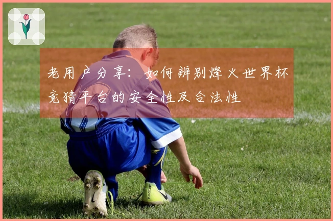 老用户分享：如何辨别烽火世界杯竞猜平台的安全性及合法性