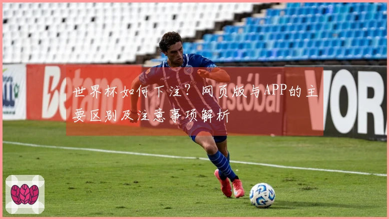 世界杯如何下注？网页版与APP的主要区别及注意事项解析
